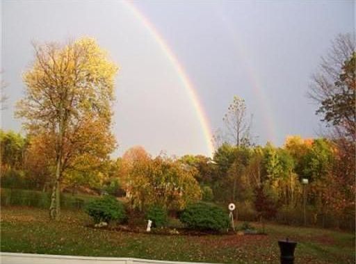 May 24 2011