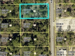 807 Abbott Ave, Lehigh Acres, FL 33972