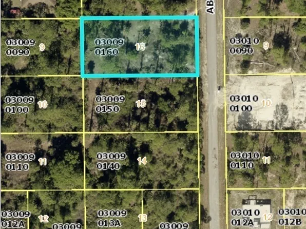 807 Abbott Ave, Lehigh Acres, FL 33972