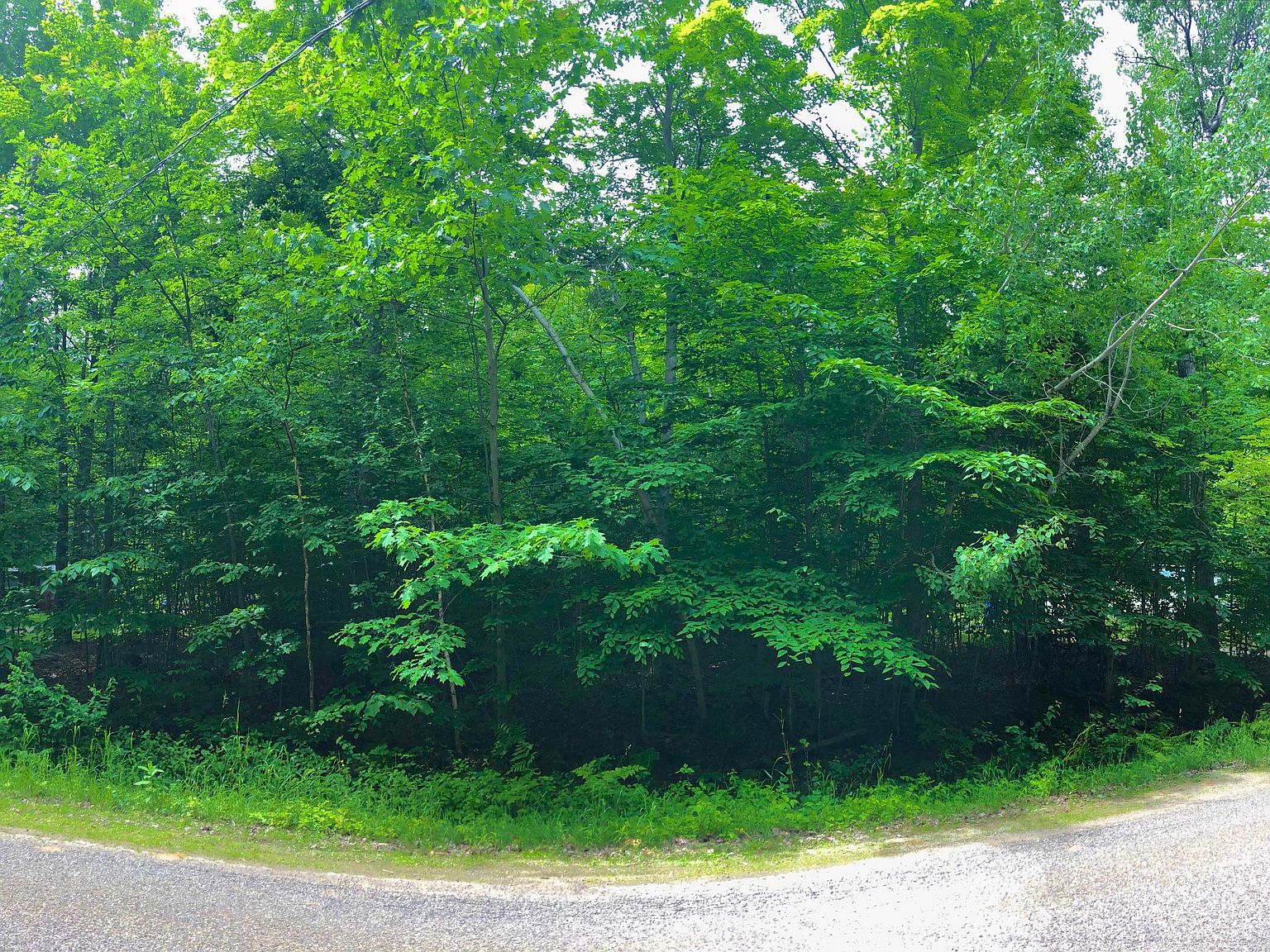 Douglas Lake Rd LOT 115, Pellston, MI 49769 Zillow