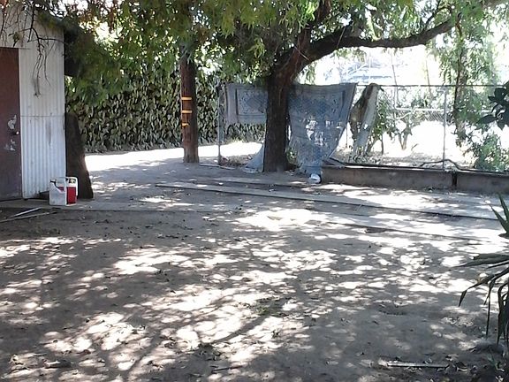 5th image of 4608 E Alta Ave