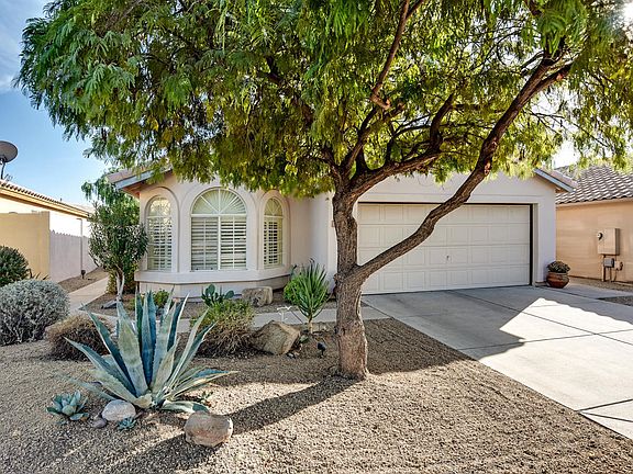 4th image of 4033 E Desert Marigold Dr