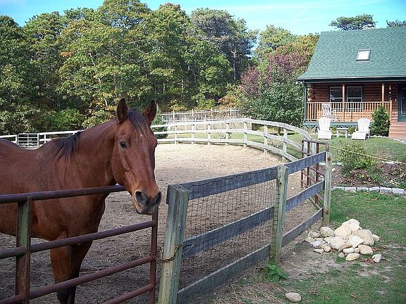 3 paddocks & miles of trails