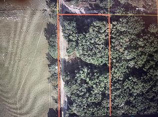 SW 157th Ln, Dunnellon, FL 34432