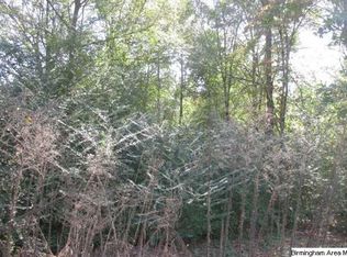 38 Cunningham Ln, Eastaboga, AL 36260