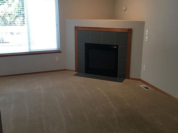 Gas fireplace