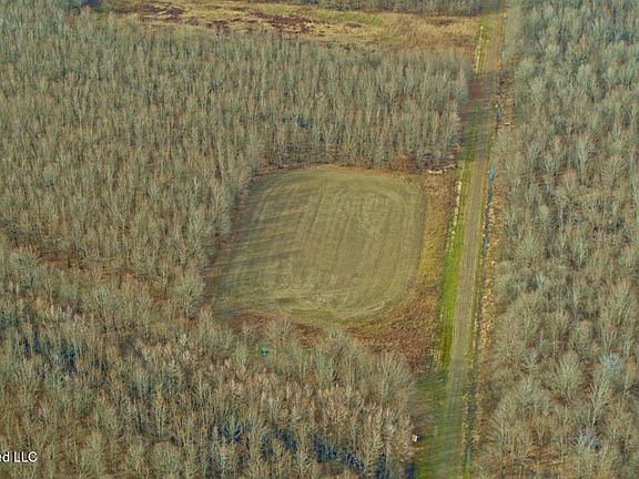 18th image of this home