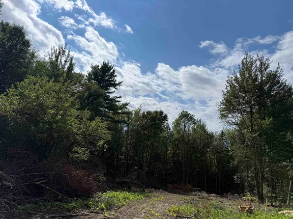 1103 North Road, Eden, VT 05652