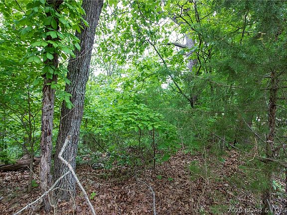 5th image of Tbd Woodland Pt