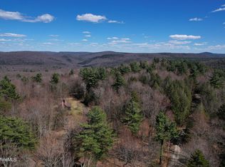 Mountain Pasture Rd, Becket, MA 01223