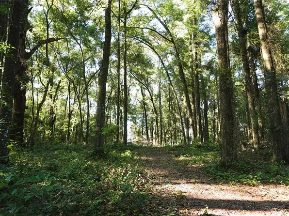 0 NW 175th Pl #15, High Springs, FL 32643