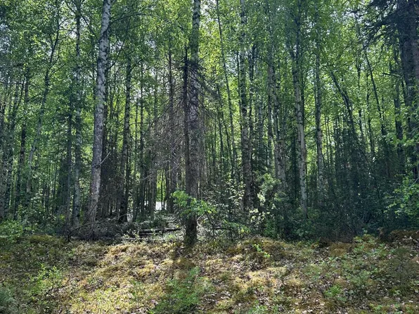 17172 E Trapper George Cir, Talkeetna, AK 99676