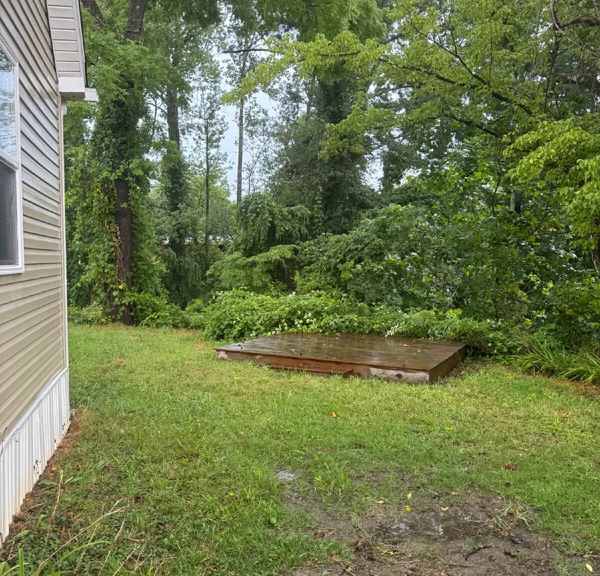 2 bed, 1.0 bath, 712 sqft, $1,800 — Photo 4