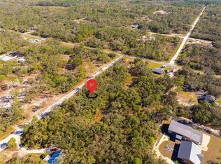 8149 Renova Dr #11, Webster, FL 33597