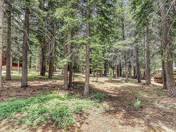 2nd image of 13718 Edelweiss Pl
