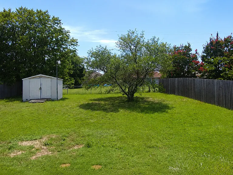 picture of the backyard with shed