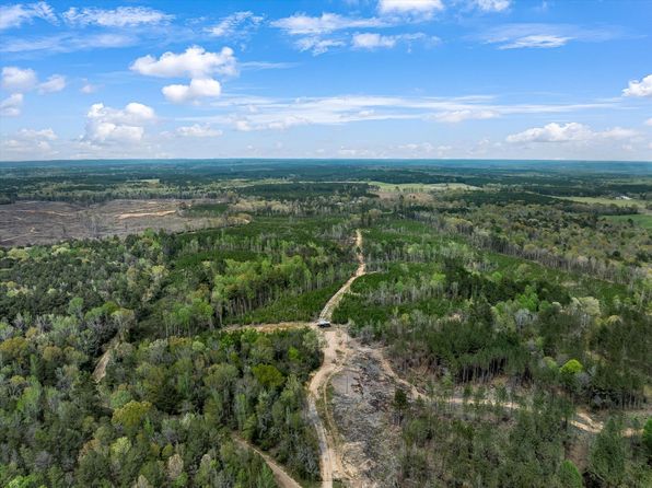 2 Stephens Cemetary Rd, Silver Creek, MS 39663