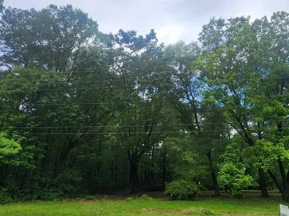 8224 Bells Lake Rd Lot 2, Apex, NC 27539