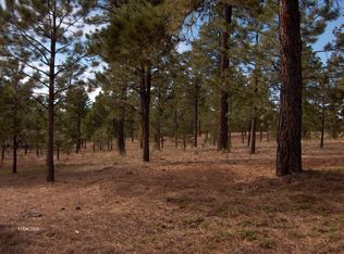 5290 Saxton Hollow Rd, Colorado Springs, CO 80908