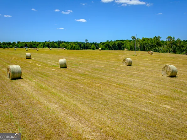 0 Regan Rd Tract 1, Millen, GA 30442