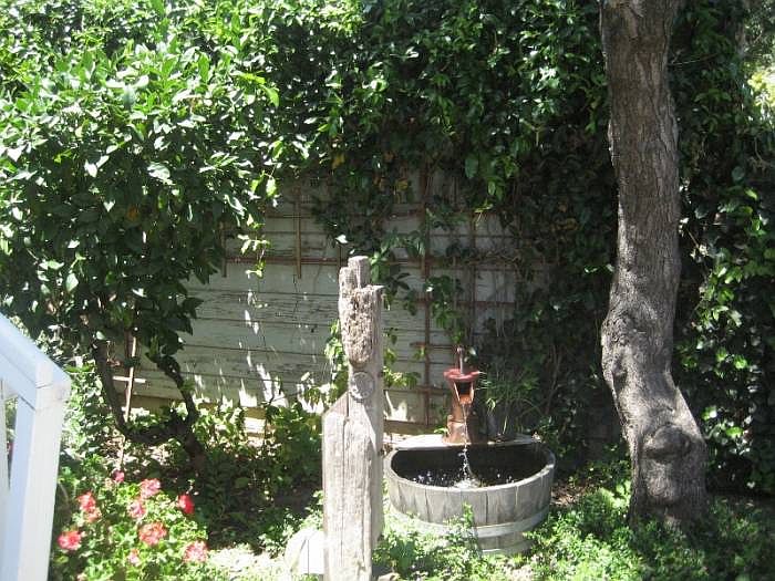 Water feature / back yard