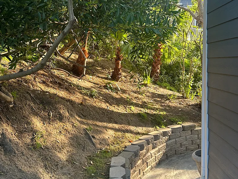 Side yard