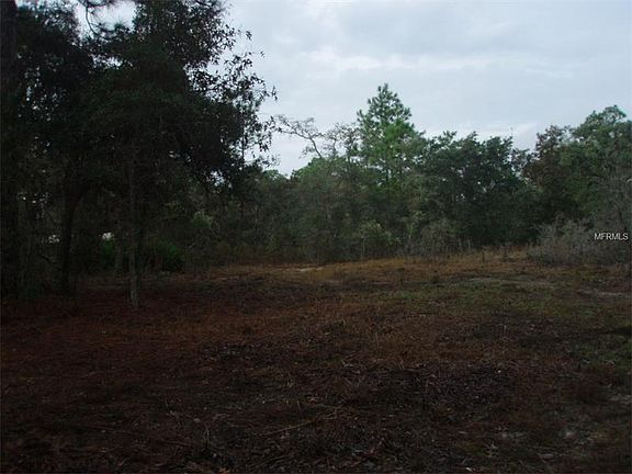 4th image of 14343 Cinnaman Ln