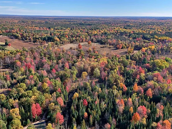 0 Twin Lakes Rd, Marion, MI 49665