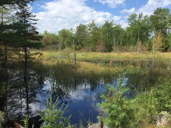 Lot 9 Surry by the Bay Lane, Surry, ME 04684