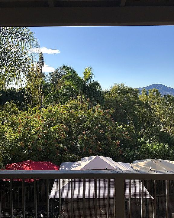 Lush Greenery/ Mountain View