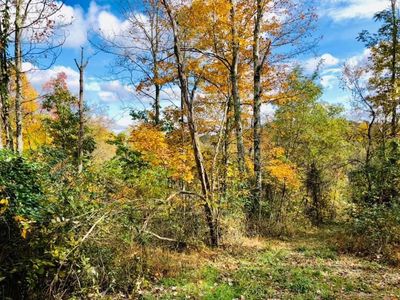 5502 Irish Ridge Rd SE, Corning, OH, 43730