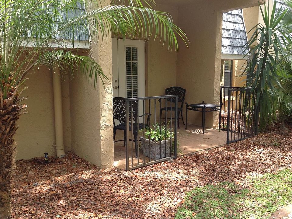 Back patio