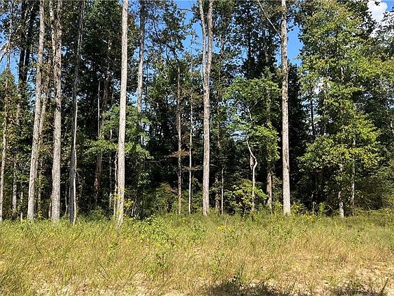 5th image of 512 Level Creek Rd #1