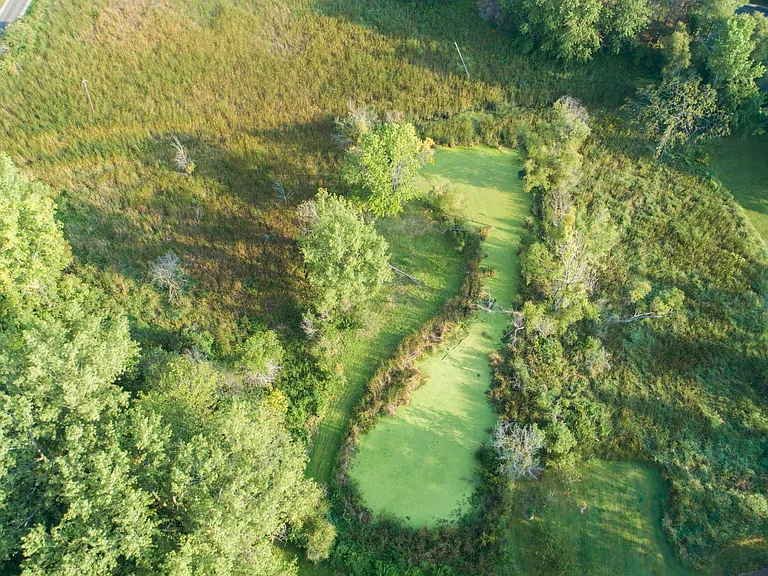 Private pond and peninsula in backyard
