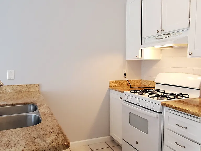 33225 Lake Champlain Ct — Photo 13