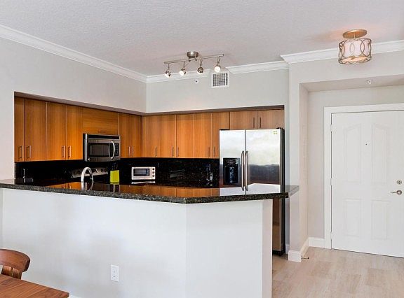 3rd image of 250 NE 3rd Ave #1310