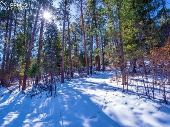 0 Fowler Br, Palmer Lake, CO 80133