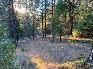 5255 Humbug Rd, Grizzly Flats, CA 95636