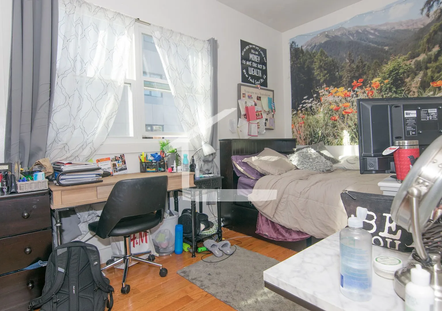 1 Bedroom — Photo 4