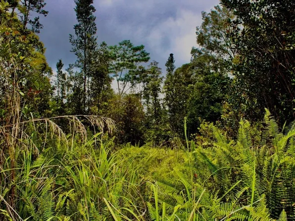 Road 4 Kea #Io, Kurtistown, HI 96760