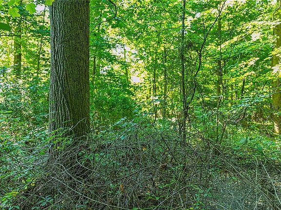 5th image of 7559 Doylestown Rd