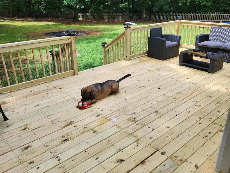 Back deck