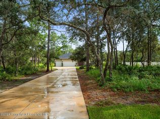 9064 Birmingham Ave, Weeki Wachee, FL 34613