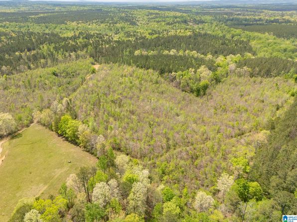0 County Road 49 #1, Muscadine, AL 36269