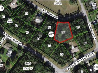 8768 N Salina Dr #20, Dunnellon, FL 34434