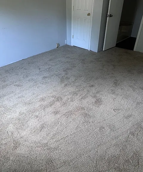 5805 Beverly Dr — Photo 11