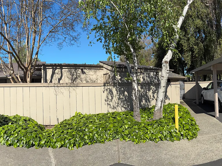 3450 W Benjamin Holt Dr — Photo 9