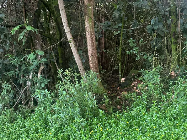 23rd Ave Lot 204, Keaau, HI 96749