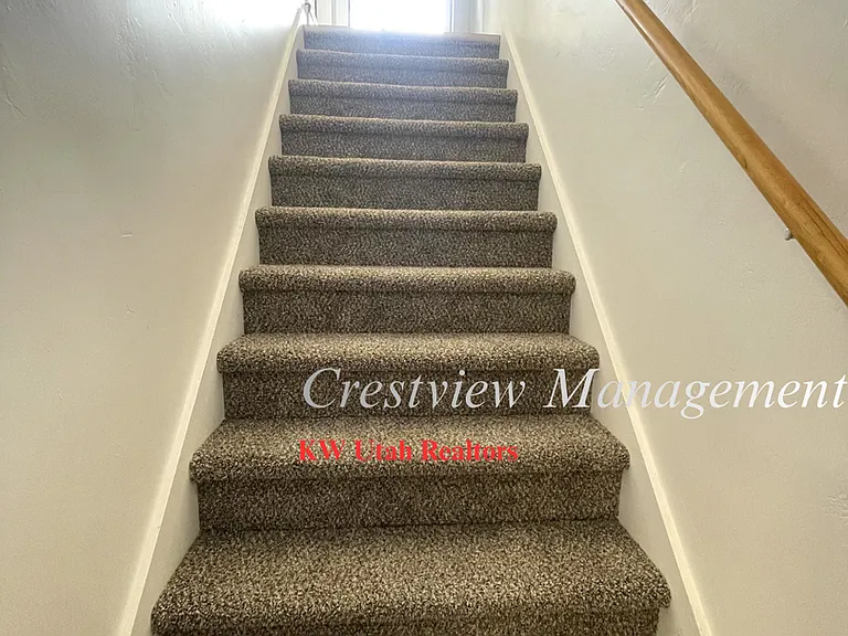 Martin Triplex — Photo 4