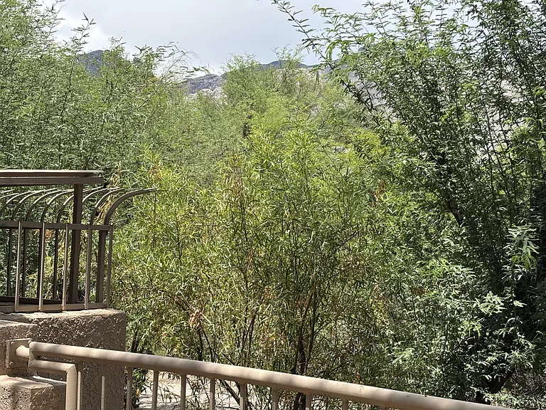 5675 N Camino Esplendora #2111 — Photo 9